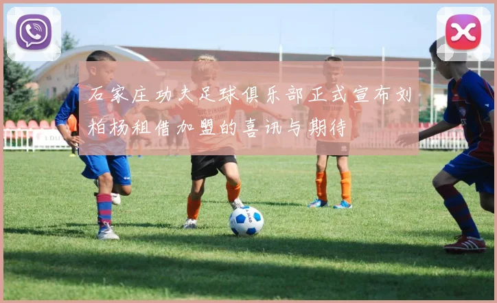 石家庄功夫足球俱乐部正式宣布刘柏杨租借加盟的喜讯与期待