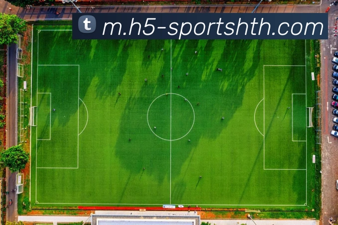 华体会体育APP 封面图