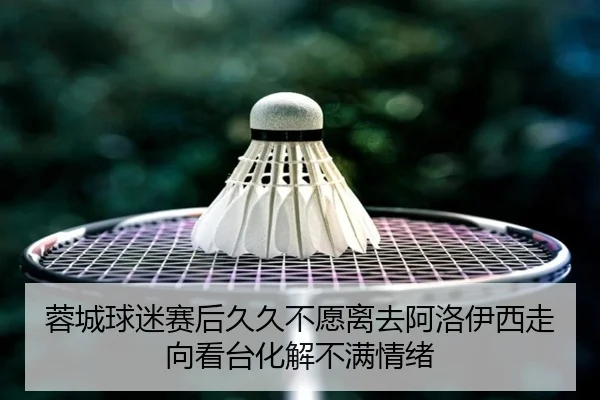蓉城球迷赛后久久不愿离去阿洛伊西走向看台化解不满情绪